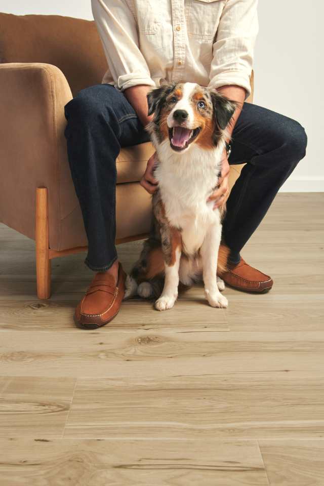 man and dog sitting in chair on hardwood floors